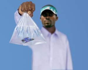 Michael Vick Caught With Siamese Fighting Fish